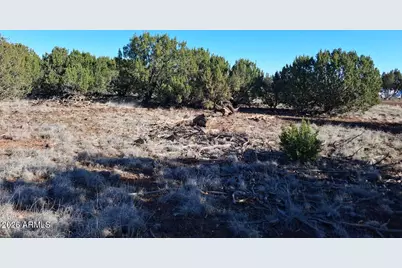 1298 Geronimo Drive #-, Show Low, AZ 85901 - Photo 1