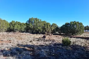 1298 Geronimo Dr, Show Low, AZ 85901 - Photo 1