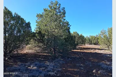 1294 Geronimo Drive #-, Show Low, AZ 85901 - Photo 1