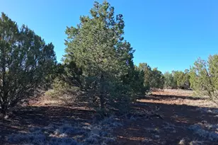 1294 Geronimo Dr, Show Low, AZ 85901 - Photo 1
