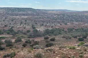 Lot 222 River Springs Ranch --, Saint Johns, AZ 85936 - Photo 1