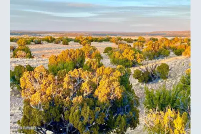 Tbd Co Rd N6659 36.25 Acres -- #-, Saint Johns, AZ 85936 - Photo 1