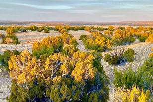 Tbd Co Rd N6659 36 25 Acres --, Saint Johns, AZ 85936 - Photo 1