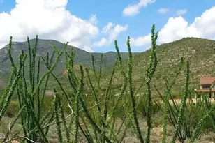 Lot 20 W Cameo St, Bisbee, AZ 85603 - Photo 1