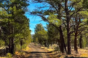 11 Co Rd N3262 5 Acres --, Vernon, AZ 85940 - Photo 1