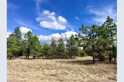 7112 Horizon Circle #101, Happy Jack, AZ 86024 - Photo 1
