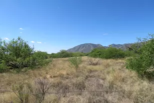 Tbd E La Paloma Ln, Hereford, AZ 85615 - Photo 1