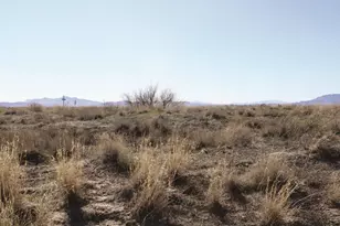 55 Acres Hwy 186 --, Willcox, AZ 85643 - Photo 1