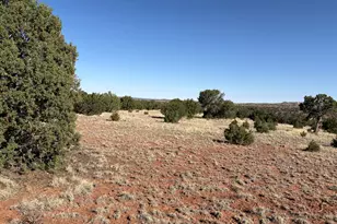 57 County Road N8483 --, Concho, AZ 85924 - Photo 1