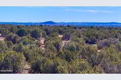 9023 Appaloosa Trl Lot A, 5 Acres -- #-, Show Low, AZ 85901 - Photo 1