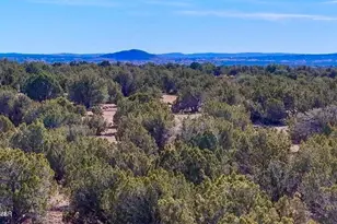 9023 Appaloosa Trl Lot A 5 Acres --, Show Low, AZ 85901 - Photo 1