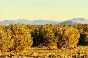 9023 Appaloosa Trl Lot B 5 Acres --, Show Low, AZ 85901 - Photo 1