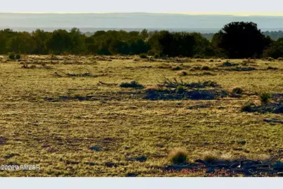 9023 Appaloosa Trl Lot C, 10 Acres -- #-, Show Low, AZ 85901 - Photo 21
