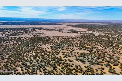 9023 Appaloosa Trl Lot C, 10 Acres -- #-, Show Low, AZ 85901 - Photo 17