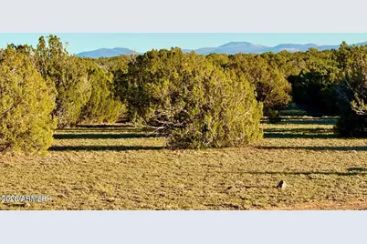 9023 Appaloosa Trl Lot C, 10 Acres -- #-, Show Low, AZ 85901 - Photo 23