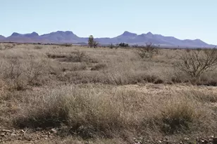 1 38 Acres N San Louis Rey Dr, Douglas, AZ 85607 - Photo 1