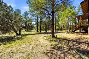 2860 Wildcat Trail, Overgaard, AZ 85933 - Photo 27