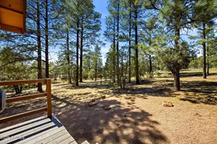 2860 Wildcat Trail, Overgaard, AZ 85933 - Photo 23