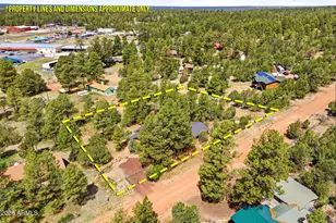 2860 Wildcat Trail, Overgaard, AZ 85933 - Photo 37