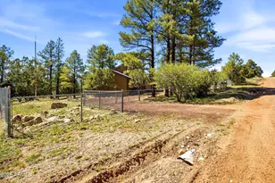 2860 Wildcat Trail, Overgaard, AZ 85933 - Photo 29