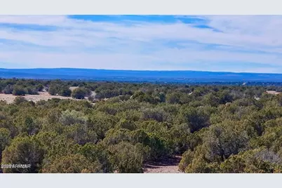 9023 Appaloosa Trl Lot D , 10 Acres -- #-, Show Low, AZ 85901 - Photo 1