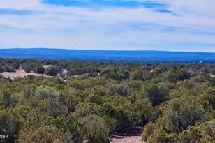 9023 Appaloosa Trl Lot D 10 Acres --, Show Low, AZ 85901 - Photo 1