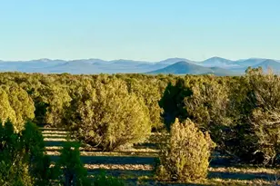 9023 Appaloosa Trl Lot E 10 Acres --, Show Low, AZ 85901 - Photo 1