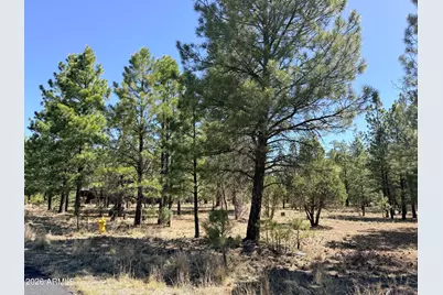 1755 Sugar Pine Drive #232, Happy Jack, AZ 86024 - Photo 1