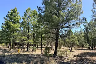 1755 Sugar Pine Dr, Happy Jack, AZ 86024 - Photo 1