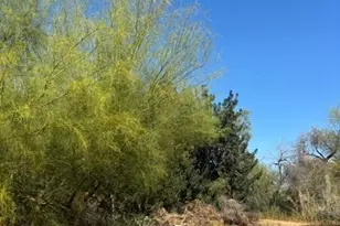 3021 W Orangewood Ave, Phoenix, AZ 85051 - Photo 1