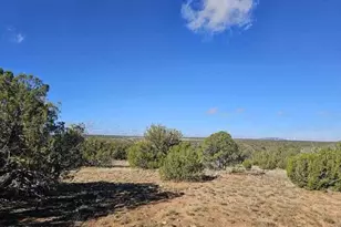 1725 McAllister Ave, Heber, AZ 85928 - Photo 1