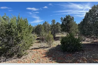 2277 Sunrise Road #361, Overgaard, AZ 85933 - Photo 1