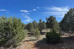 2277 Sunrise Rd, Overgaard, AZ 85933 - Photo 1