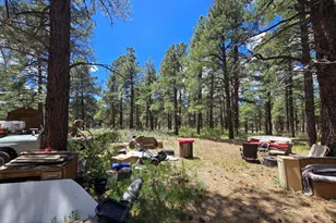196 N Spitz Spring Rd, Parks, AZ 86018 - Photo 13