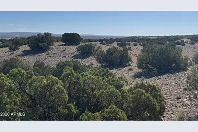 Lot 901 Woodland Valley Ranch -- #901, Saint Johns, AZ 85936 - Photo 1