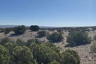 Lot 901 Woodland Valley Ranch --, Saint Johns, AZ 85936 - Photo 1