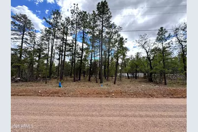 1983 Maryanne Road #-, Show Low, AZ 85901 - Photo 1