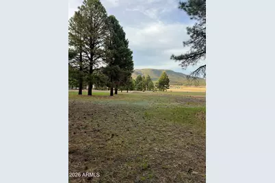 18 County Rd 2063 -- #8, Alpine, AZ 85920 - Photo 1