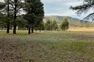 18 County Rd 2063 --, Alpine, AZ 85920 - Photo 1