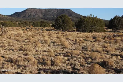Wrangler R Wrangler Ridge Rd -- #301118203, Seligman, AZ 86337 - Photo 1