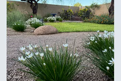 1022 W Juanita Avenue, Gilbert, AZ 85233 - Photo 49
