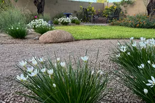 1022 W Juanita Ave, Gilbert, AZ 85233 - Photo 49