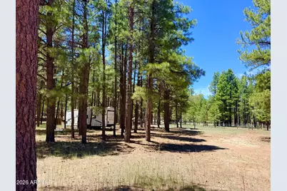2378 Blue Ridge Drive #479, Happy Jack, AZ 86024 - Photo 1