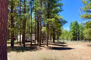 2378 Blue Ridge Dr, Happy Jack, AZ 86024 - Photo 1