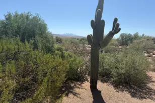 19020 E Buckskin Dr, Rio Verde, AZ 85263 - Photo 1