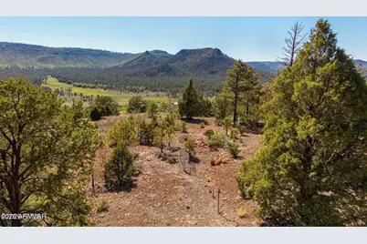 N2280 Noble Mountain Est -- #47, Nutrioso, AZ 85932 - Photo 1