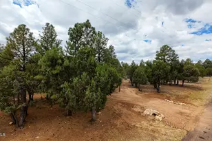 4935 Starlight Dr, Happy Jack, AZ 86024 - Photo 31