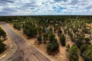 4935 Starlight Dr, Happy Jack, AZ 86024 - Photo 33