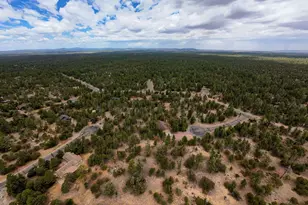 4935 Starlight Dr, Happy Jack, AZ 86024 - Photo 45