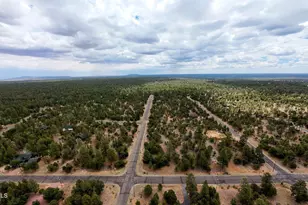 4935 Starlight Dr, Happy Jack, AZ 86024 - Photo 47